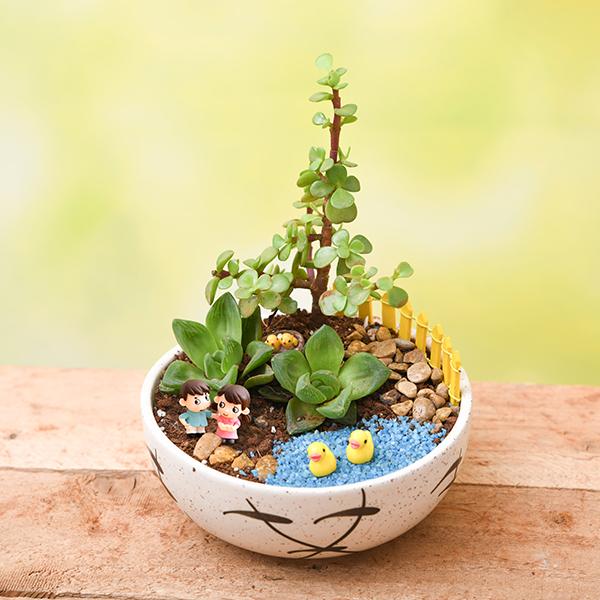 DIY Pleasant Morning - Miniature Garden - Image 2
