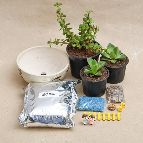 DIY Pleasant Morning - Miniature Garden - Image 3