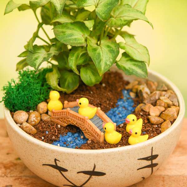 DIY River Crossing Ducklings - Miniature Garden