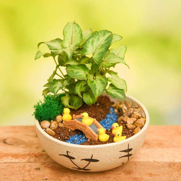DIY River Crossing Ducklings - Miniature Garden - Image 2