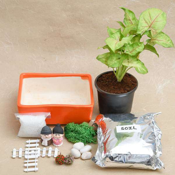 DIY Dada Dadi Enjoying Snowfall in Garden - Miniature Garden - Image 2