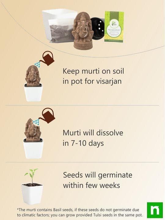 Eco friendly Clay Ganesha with Air Purifier Plants - Image 5