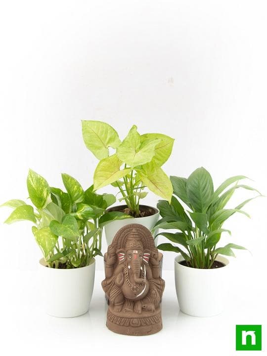 Eco friendly Clay Ganesha with Air Purifier Plants - Image 8