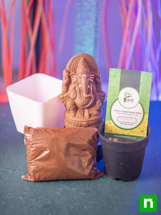 Eco friendly Seed Ganesh Murti - Image 4