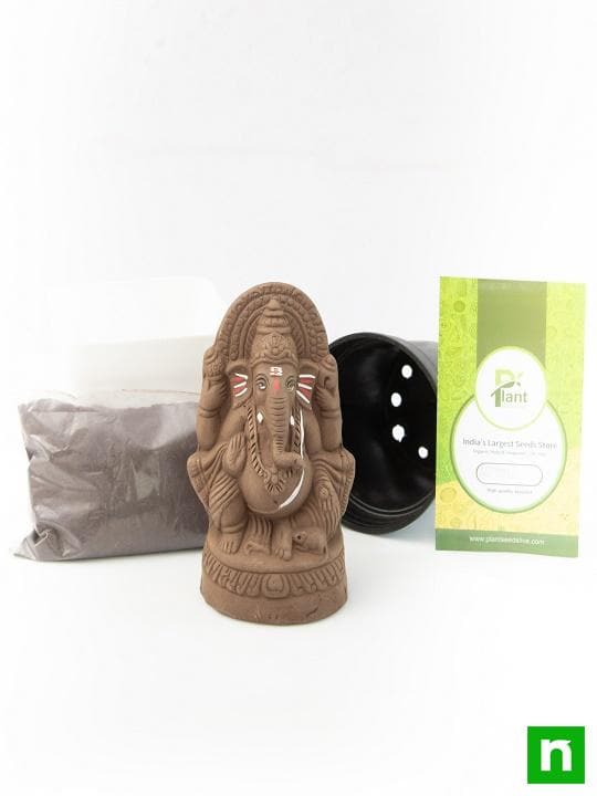 Eco friendly Seed Ganesh Murti - Image 6