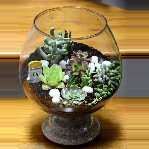 Enchanting wine goblet terrarium (10in Ht)