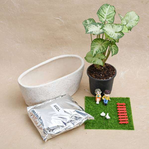 DIY Feel Relaxed in the Garden - Miniature Garden - Image 2