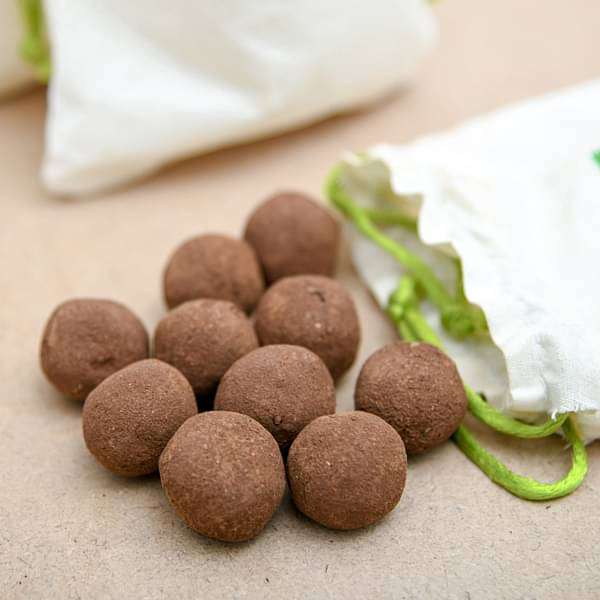 Flowering Seed balls - Corporate Gift (set of 30) - Image 3