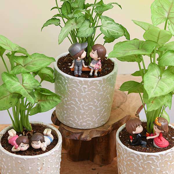 Forever love - Miniature Garden