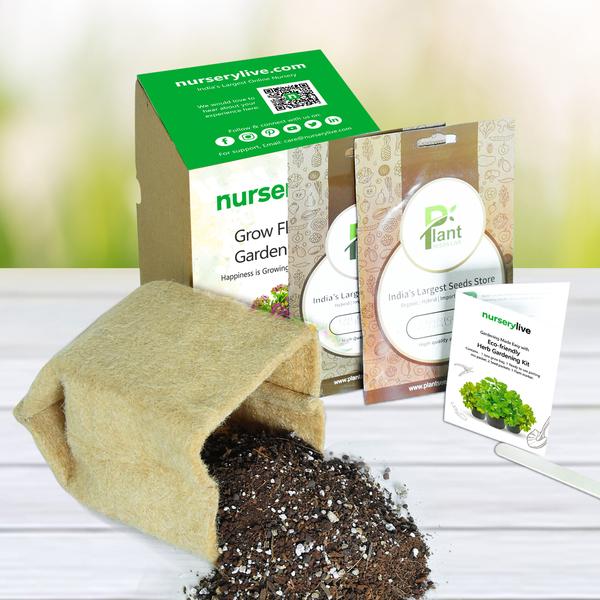 Gardening Made Easy with Eco-friendly Herb Gardening Kit