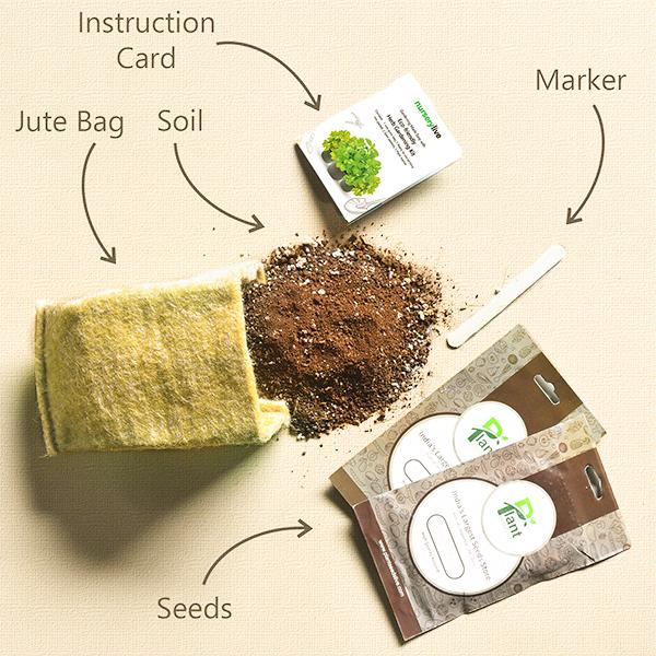 Gardening Made Easy with Eco-friendly Herb Gardening Kit - Image 2