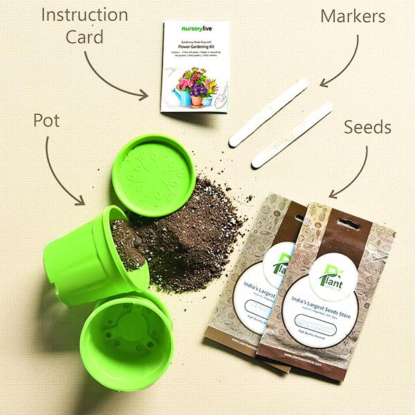 Gardening Made Easy with Flower Gardening Kit - Image 2