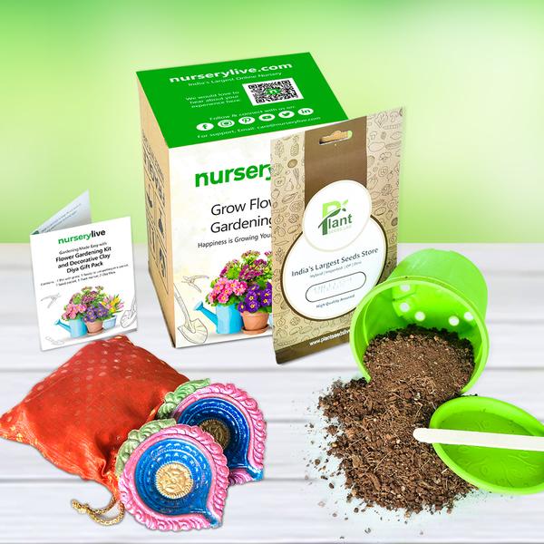 Gardening Made Easy with Flower gardening Kit and Decorative Clay Diya Gift Pack
