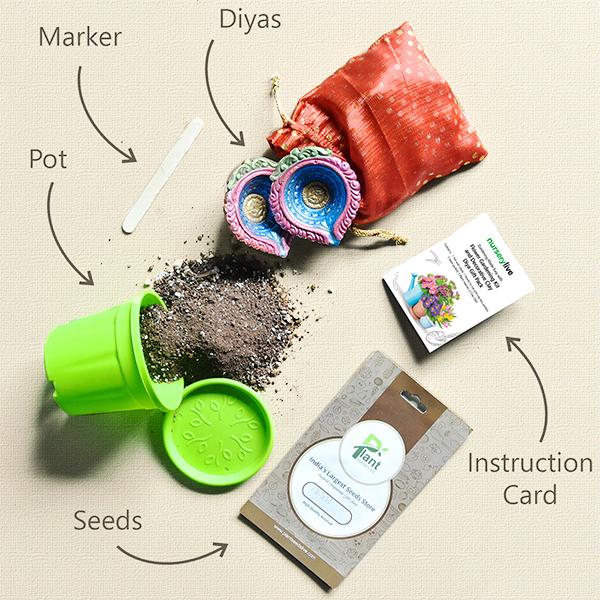 Gardening Made Easy with Flower gardening Kit and Decorative Clay Diya Gift Pack - Image 2