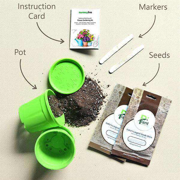 Gardening Made Easy with Flower Gardening Kit - Corporate Gift (Set of 30) - Image 2