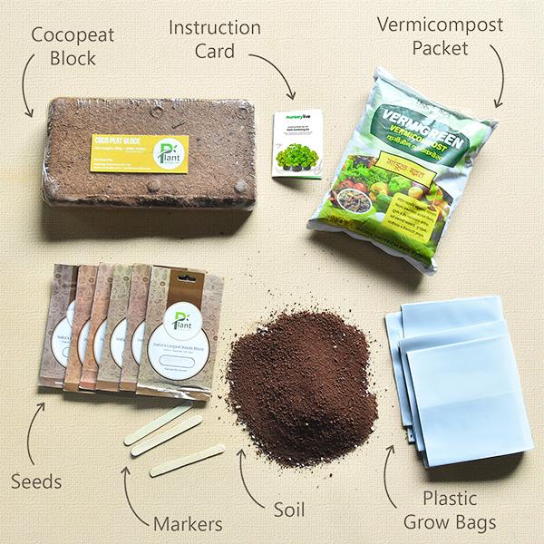 Gardening Made Easy with Herb Gardening Kit - Image 2