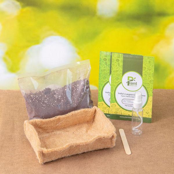 Gardening Made Easy with Microgreens Grow Bag and Ready to Use Soil Mix