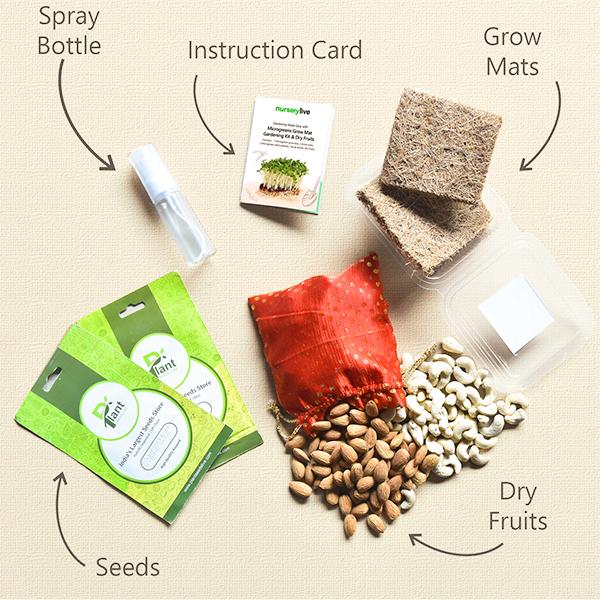 Gardening Made Easy with Microgreens Grow Mat Gardening Kit and Dry Fruits Gift pack - Image 2
