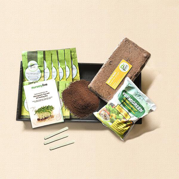 Gardening Made Easy with Microgreens Tray and DIY Potting Mix