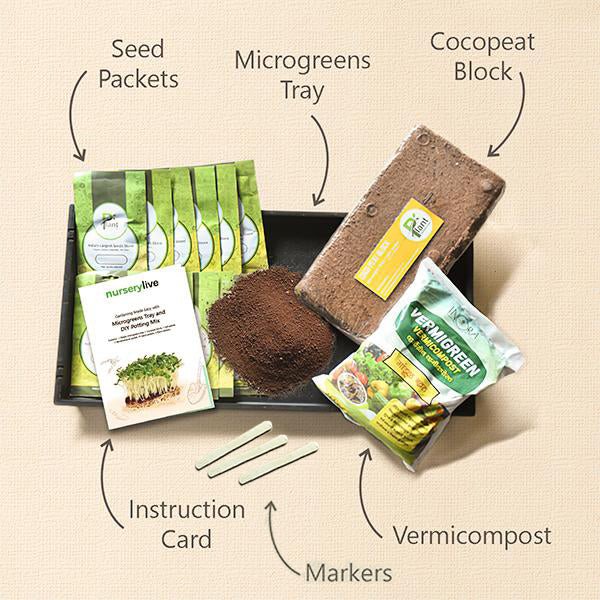 Gardening Made Easy with Microgreens Tray and DIY Potting Mix - Image 2