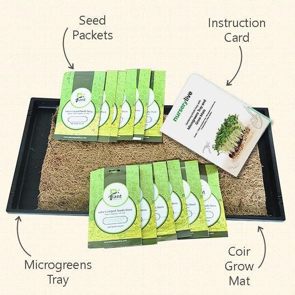 Gardening Made Easy with Microgreens Tray and Grow Mats - Image 3