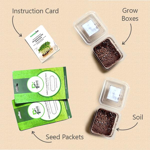 Gardening Made Easy with Nutritious Microgreens Gardening Kit - Image 2