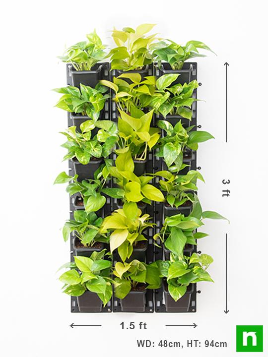 Gorgeous Living Wall to Beautify Indoor Space Around You - Image 3