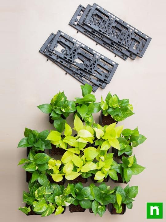 Gorgeous Living Wall to Beautify Indoor Space Around You - Image 4