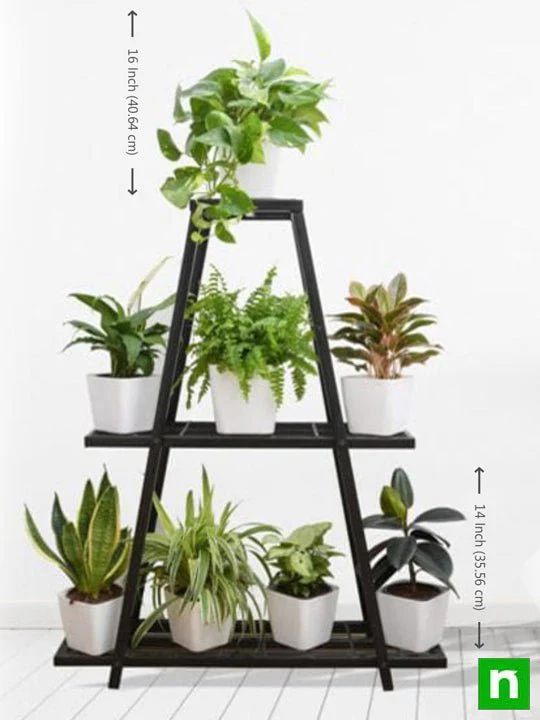 Graceful houseplants for indirect light on unique triangle shape metal stand - Image 2