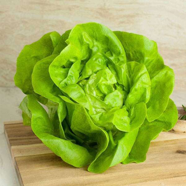 Green and Healthy Seeds