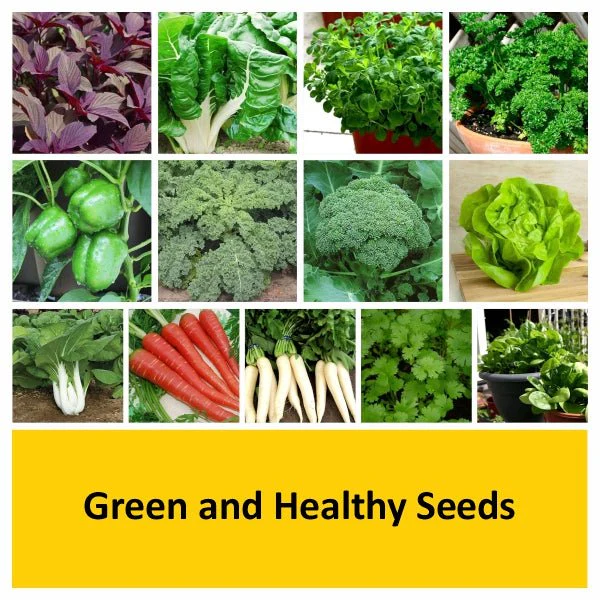Green and Healthy Seeds - Image 2