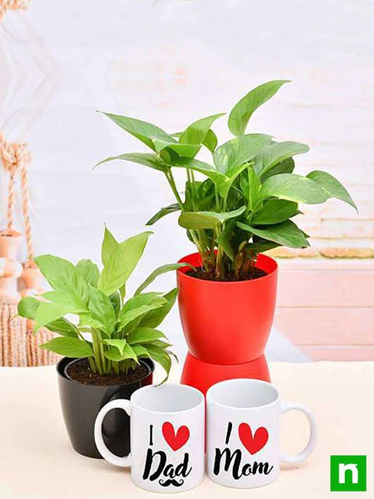 Greet Your Mom Dad with Green Garden and Mugs - Image 2