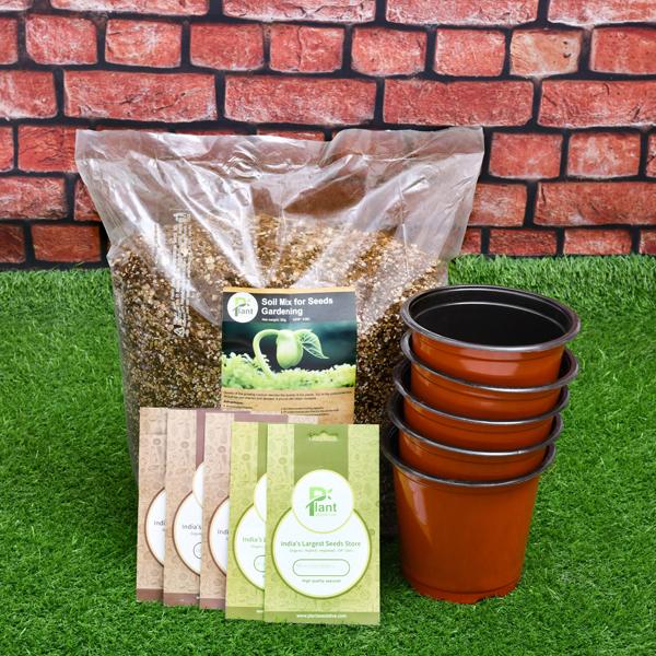 Grow 5 Best Herb, Vegetables in Rainy Season - Kitchen Garden Pack - Image 2