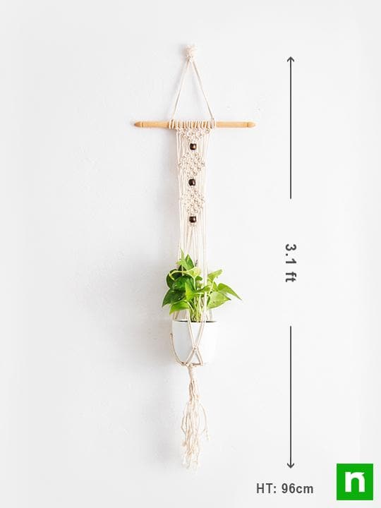 Handmade SA004 Macrame Hanger for Plants (Cotton, White with small stick) - Image 3