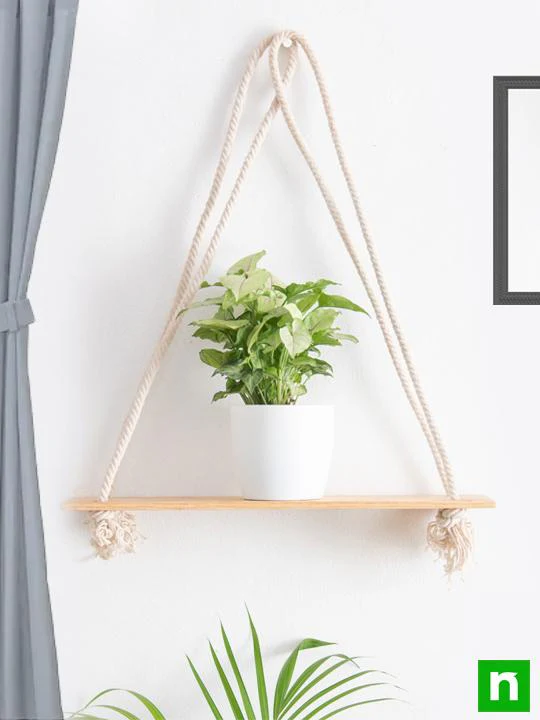 Handmade SA008 Wooden Plank Hanger for Plants - Image 2
