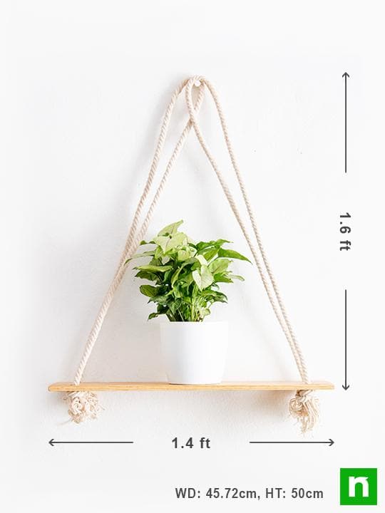 Handmade SA008 Wooden Plank Hanger for Plants - Image 3