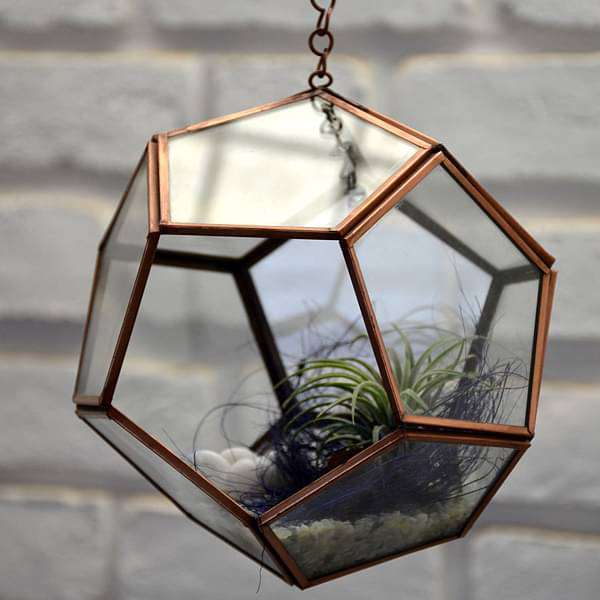 Hanging pentagon terrarium (7.5in Ht)