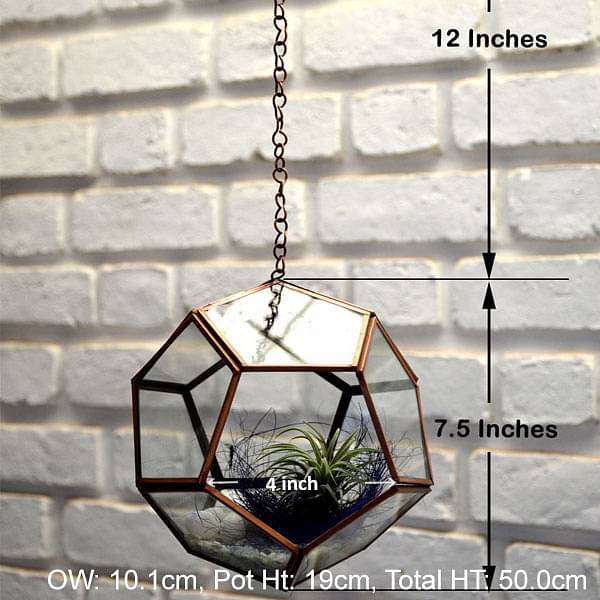 Hanging pentagon terrarium (7.5in Ht) - Image 2