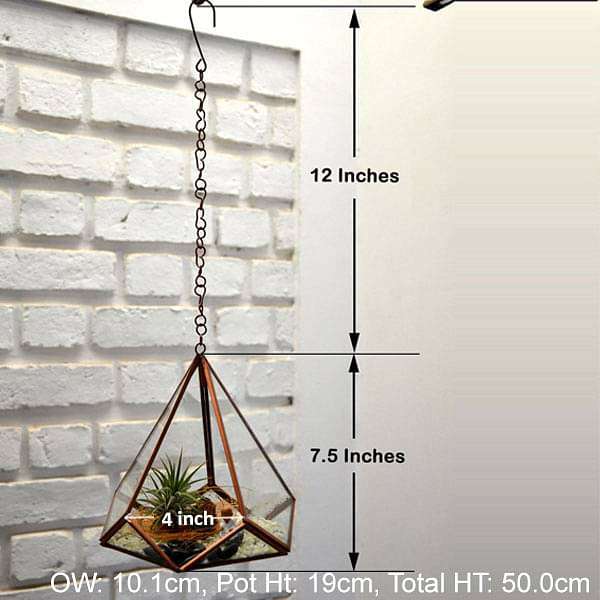 Hanging pyramidal terrarium (7.5in Ht) - Image 3