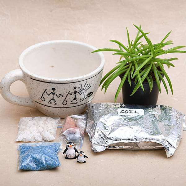 DIY Happy feet with Senecio - Miniature Garden - Image 2