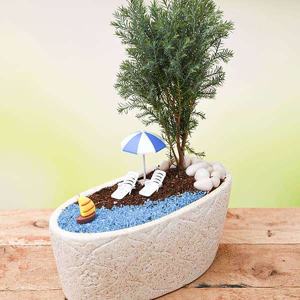 DIY Holiday on beach - Miniature Garden - Image 2