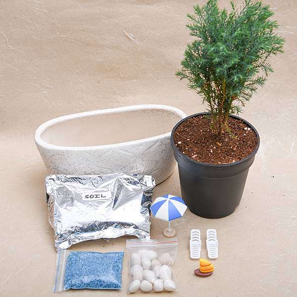 DIY Holiday on beach - Miniature Garden - Image 3