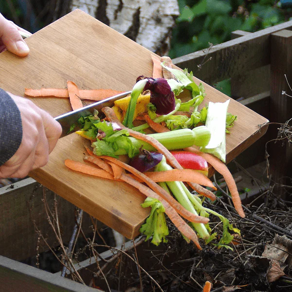 Home Composting Workshop - Image 2