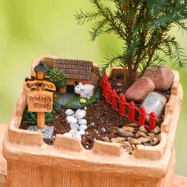 DIY House warming with farm house garden - Miniature Garden