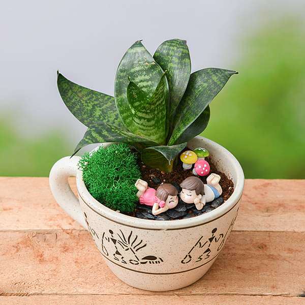 DIY Joyful Moments - Miniature Garden - Image 2