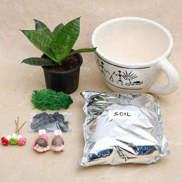 DIY Joyful Moments - Miniature Garden - Image 3