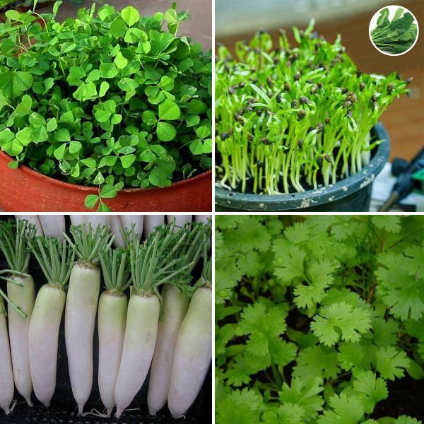 Kids garden learning pack - Image 2