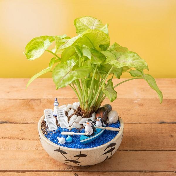 Kids Special Miniature Garden Decoration Workshop