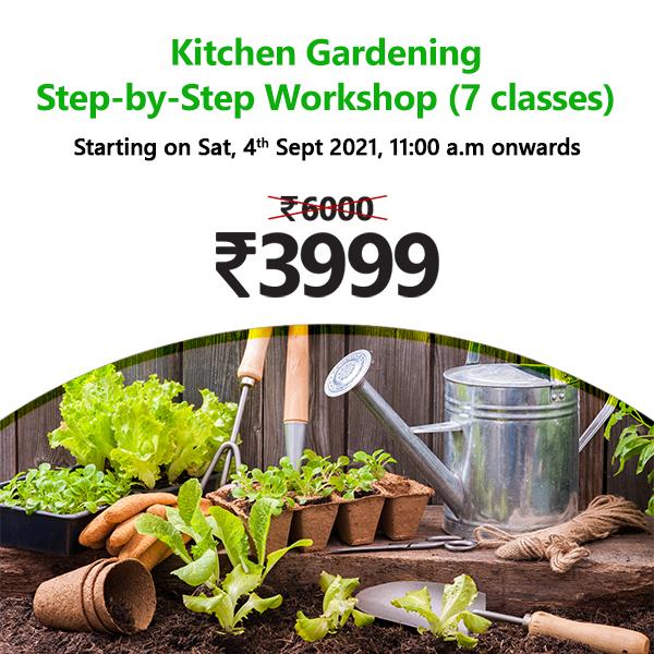 Kitchen Gardening Step-by-Step Workshop (7 Classes)