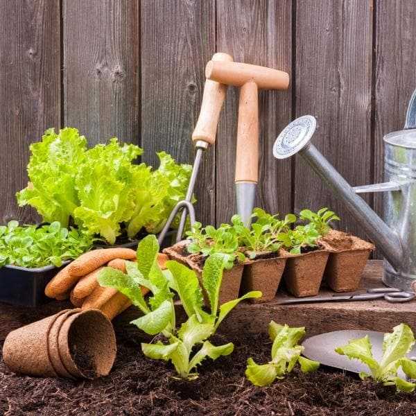 Kitchen Gardening Step-by-Step Workshop (7 Classes) - Image 2